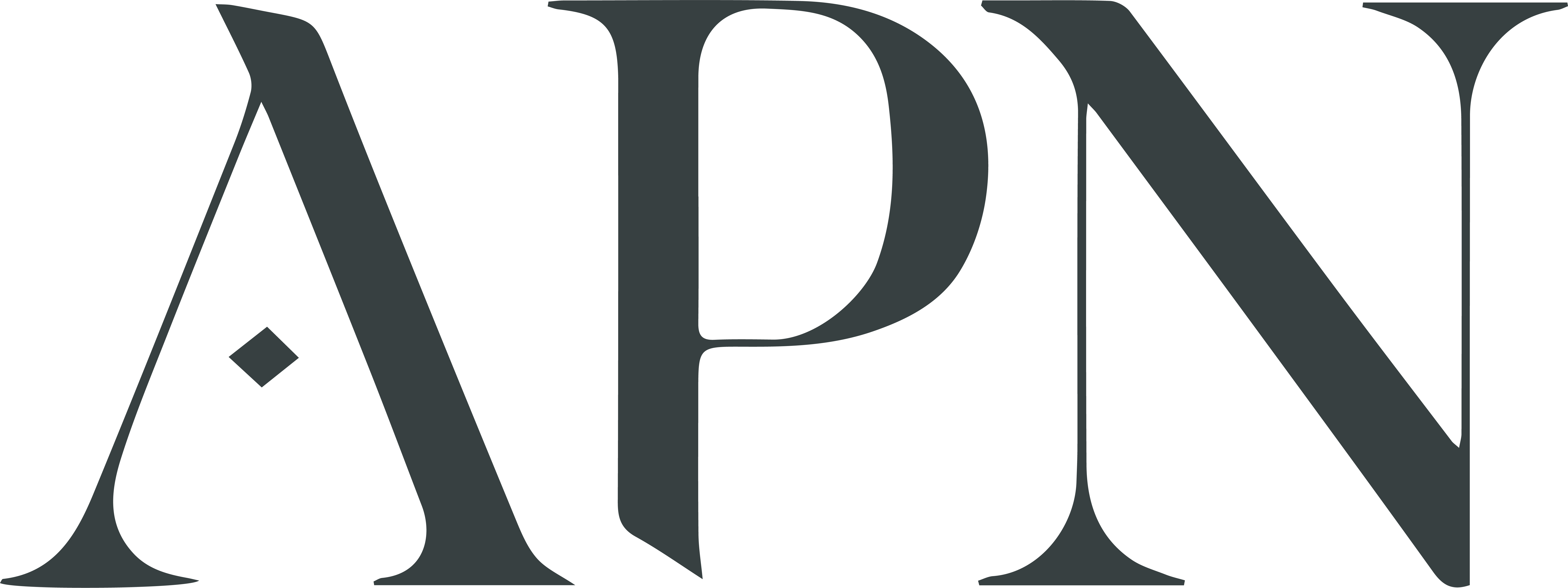 APN logo dark