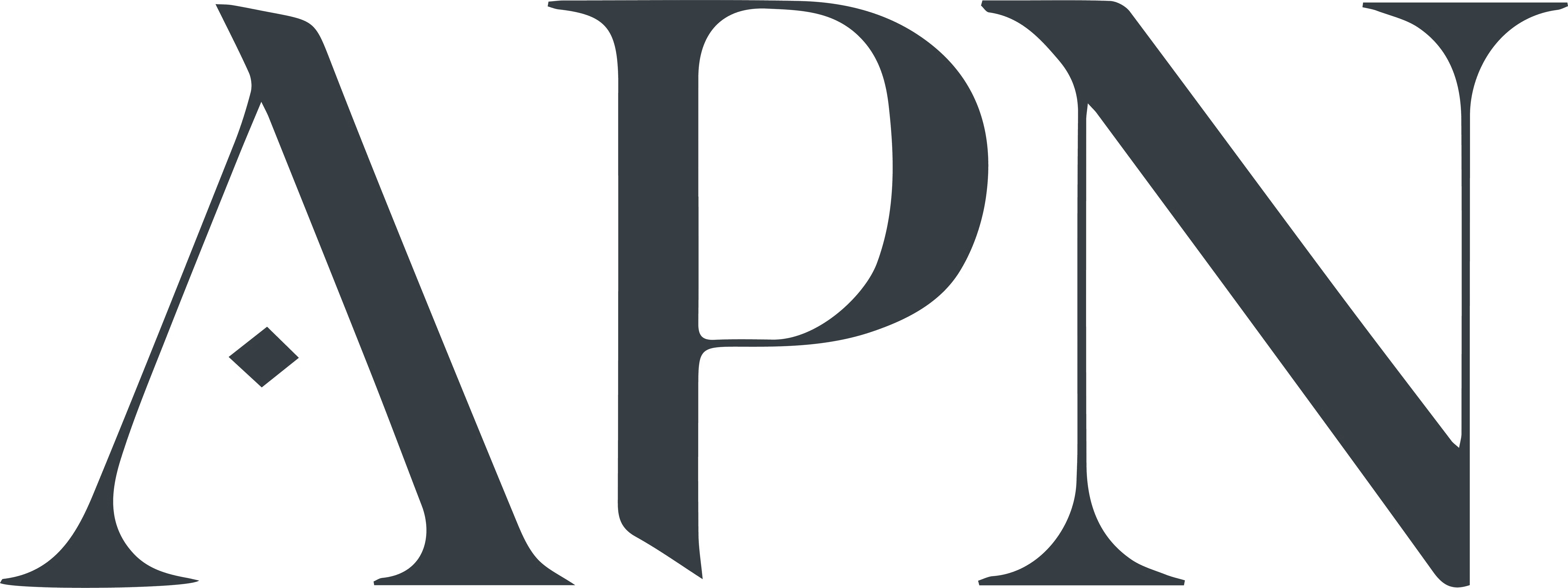 APN logo dark