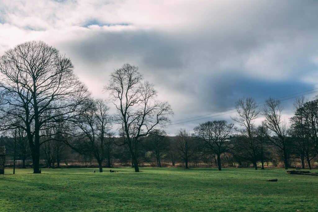 Park in Leeds